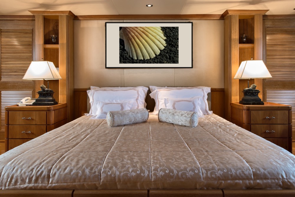 Pecten