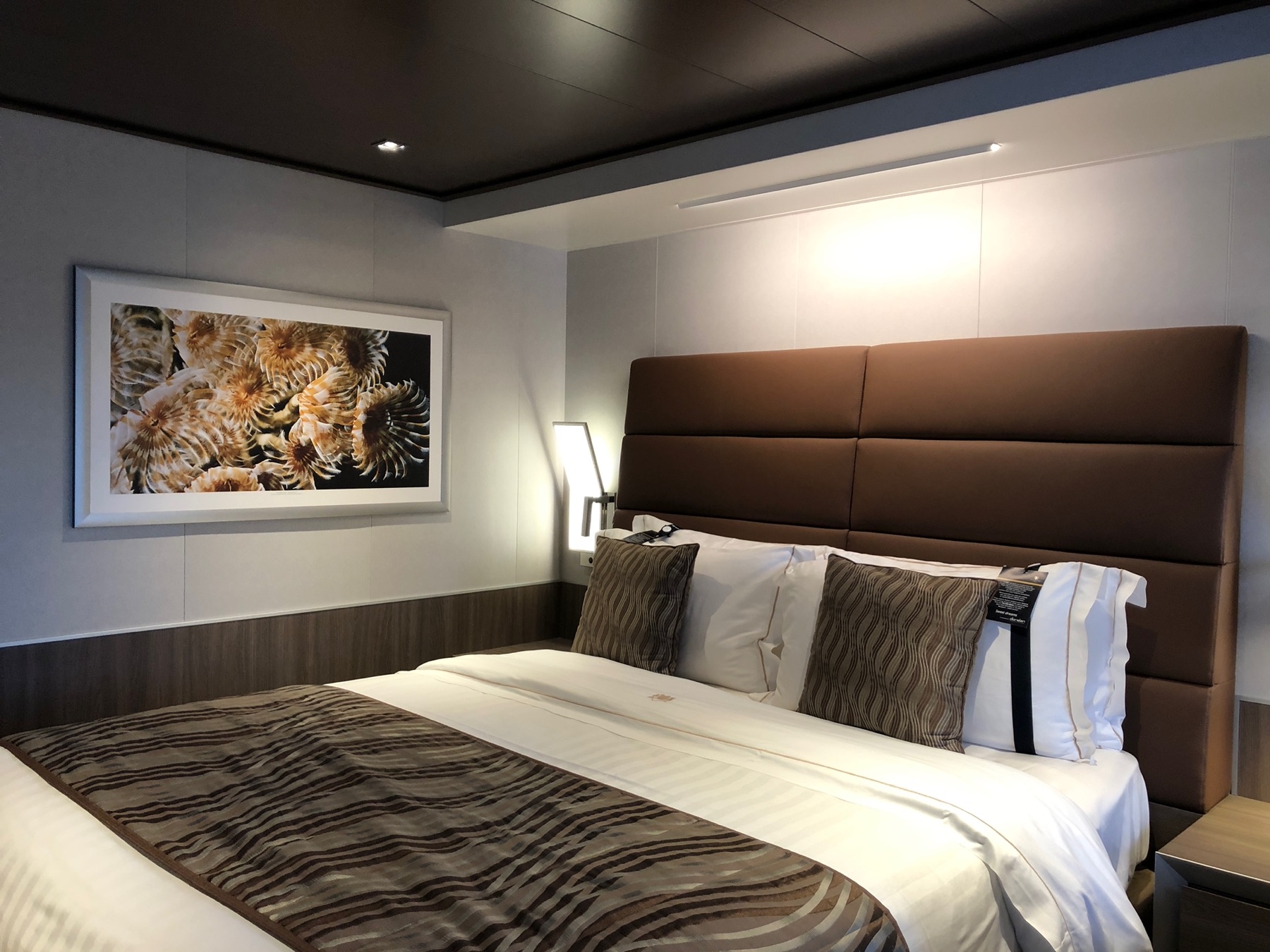 MSC Seaview