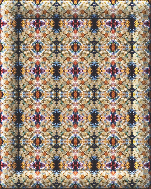 Sealosophy · Abstract