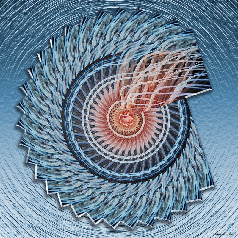 Shell