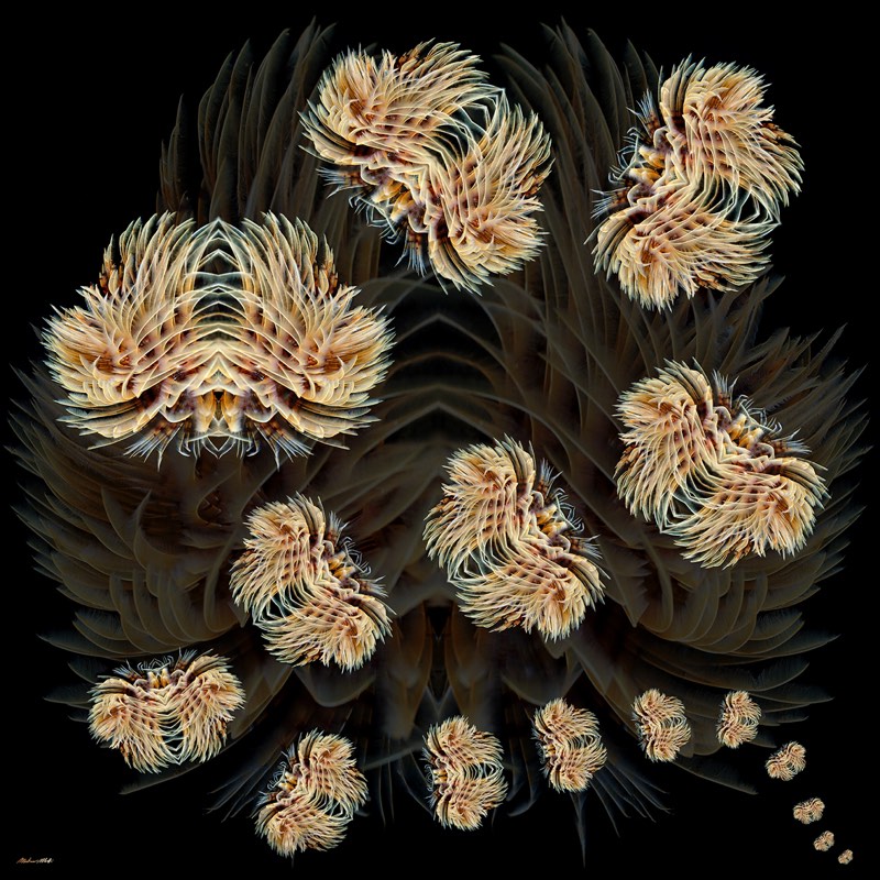 Spirografi volanti